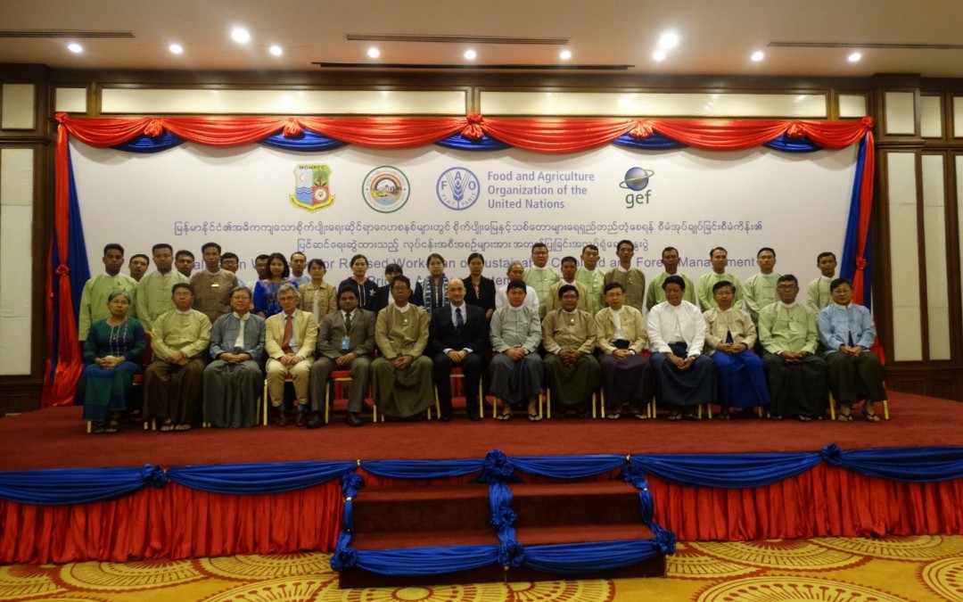 Validation Workshop for Revised Work Plan of  “Sustainable Cropland and Forest Management in Priority Agro-ecosystems of Myanmar” Project