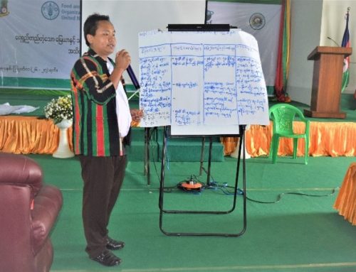 Forest Governance in Chin State – how FAO is helping strengthening Legal and Policy Framework