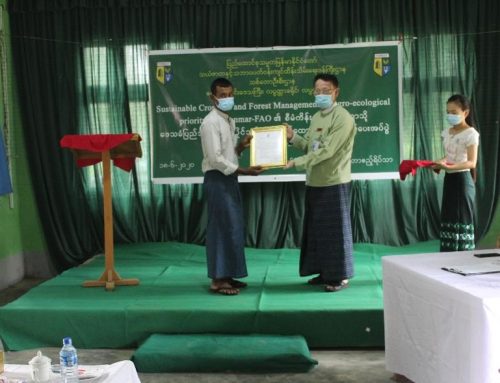 Supporting communities in Myanmar to get community forest certificate