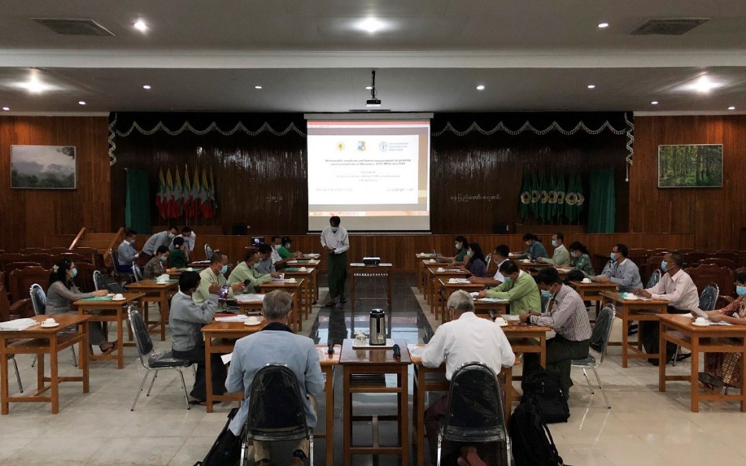Completing 100% revision of the existing curricula of the Myanmar Forest School: A New Normal meeting in post COVID-19