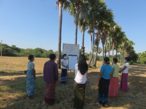 Soil management training for the FFS farmers in Shwe Dwin village, Nyaung U