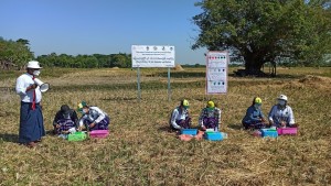 Soil testing demonstration by using soil test kit in Kan Chaung village, Labutta