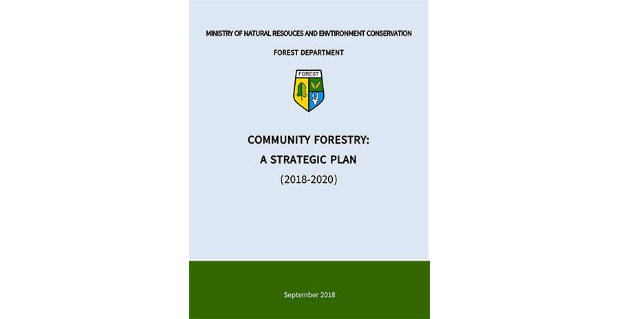 Community Forestry: A Strategic Plan (2018-2020)