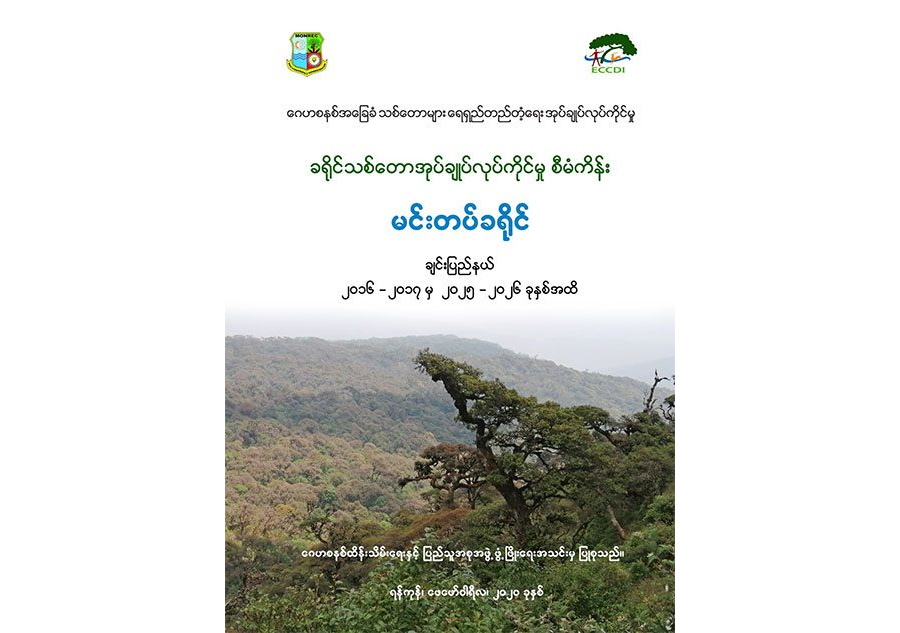 ခရိုင်သစ်တောအုပ်ချုပ်လုပ်ကိုင်မှုစီမံကိန်း (မင်းတပ်၊ ချင်းပြည်နယ်)