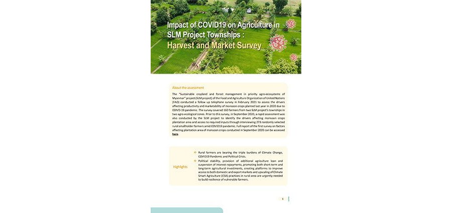 Impact of COVID19 on agriculture in SLM Project townships : Harvest and Market Survey 2021